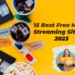 15 Best Free Movie Streaming Sites In 2023 - entrepreneur first magazine